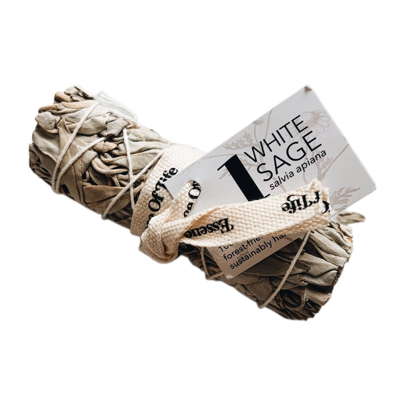 White Sage