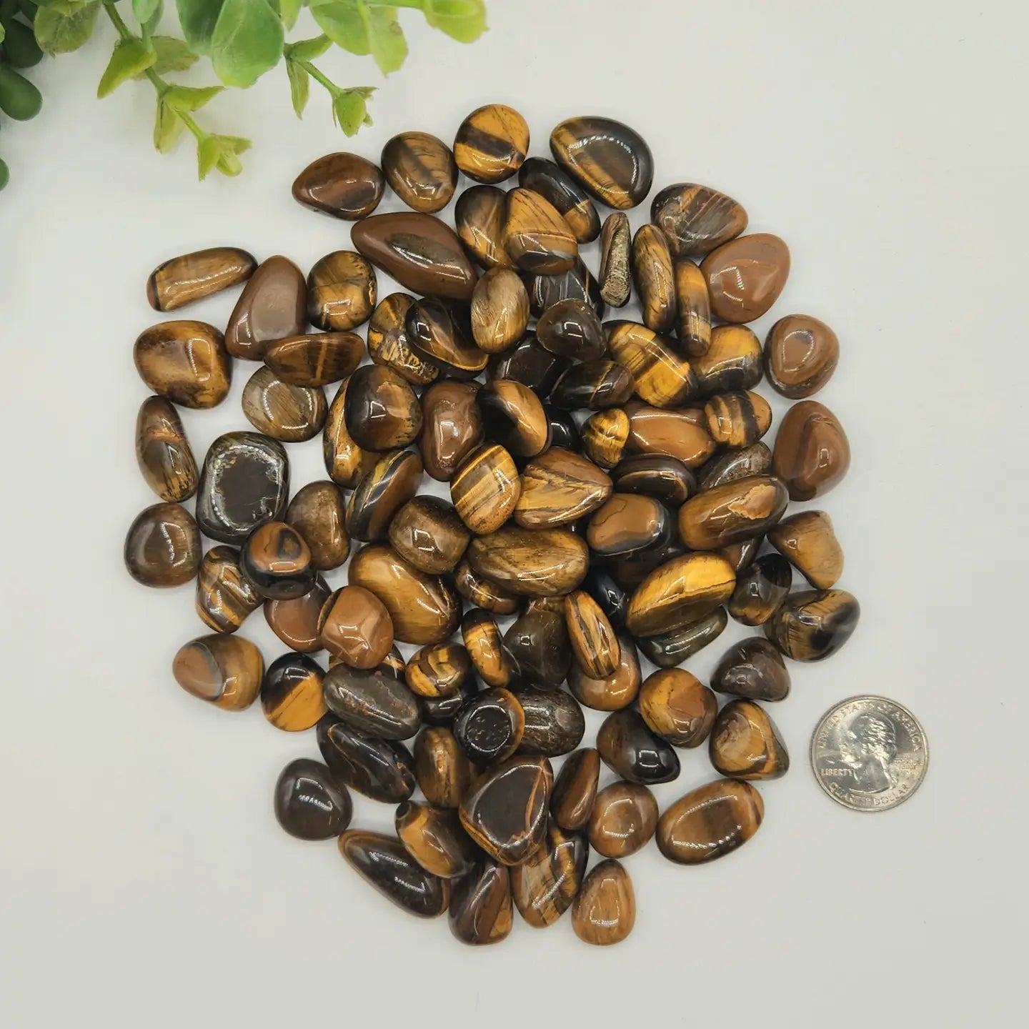 Tiger's Eye