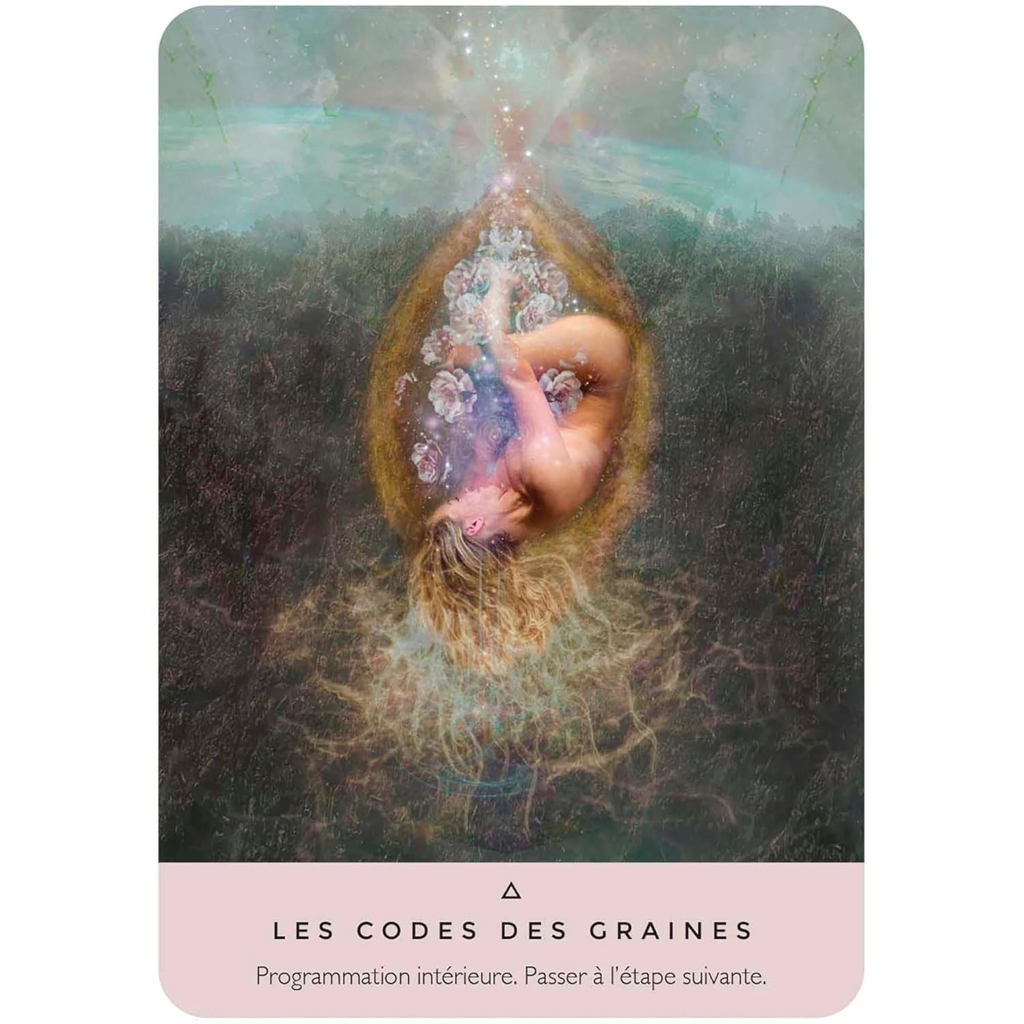 The Rose Oracle