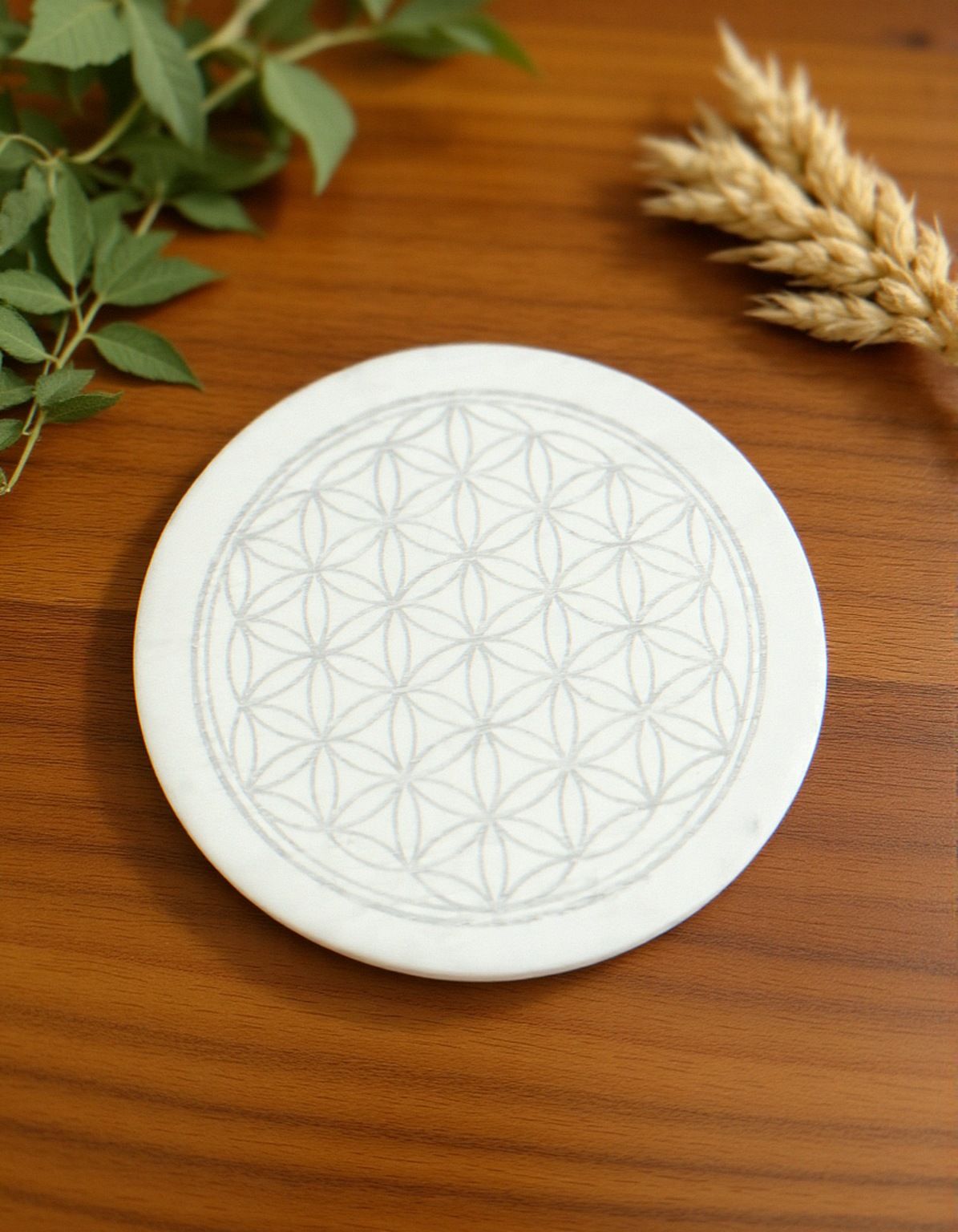 Charging Plate